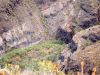 फाईल का नाम=DSC00155.jpg
फाईल का आकार=1005KB
रूपरेखा=800x600
तारीख को जोडी गयी=मई 29, 2011 DSC00155.jpg