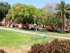 Filename=DSC00250.jpg
Filesize=1006KB
Dimensions=800x600
Date added=May 29, 2011 DSC00250.jpg
