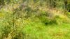 Filename=DSC00404.jpg
Filesize=466KB
Dimensions=640x360
Date added=Aug 27, 2011 DSC00404.jpg