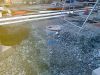 k-Nokia_Fotos_vom_21_11_09_015.jpg